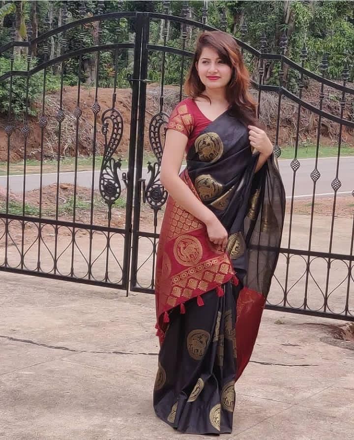 Soft Lichi Silk Saree Collection - CATALOG 15567
